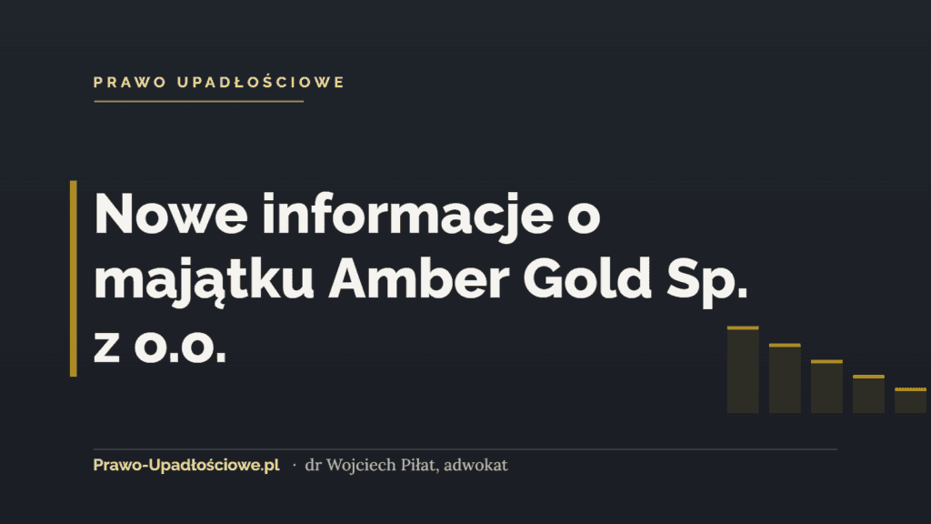 Nowe informacje o majątku Amber Gold Sp. z o.o.